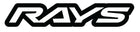 Rays logo use this