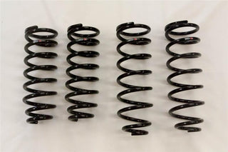 RS-R 01-06 Lexus LS430 (UCF30/31) Down Sus Springs